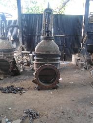 Coir Fiber