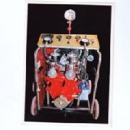Coir Fiber