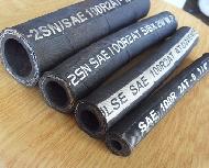 Coir Fiber