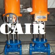 Coir Fiber