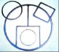Coir Fiber