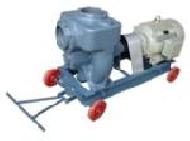 Coir Fiber
