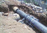 Coir Fiber