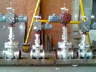 Coir Fiber