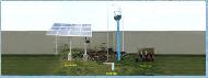 Coir Fiber