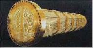 Coir Fiber