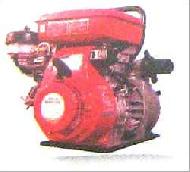 Coir Fiber