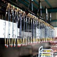 Coir Fiber