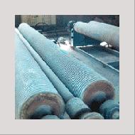 Coir Fiber