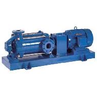 Coir Fiber