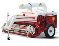 Coir Fiber