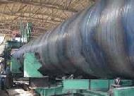 Coir Fiber