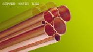 Coir Fiber