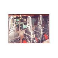 Coir Fiber