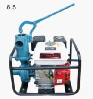 Coir Fiber