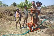 Coir Fiber