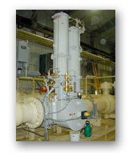 Coir Fiber