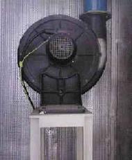 Coir Fiber