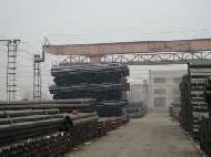 Coir Fiber