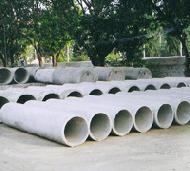 Coir Fiber