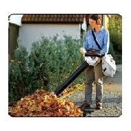 Coir Fiber