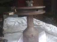 Coir Fiber