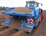 Coir Fiber
