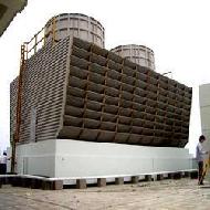 Coir Fiber