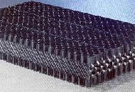 Coir Fiber
