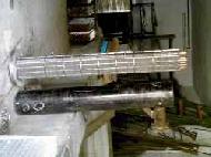 Coir Fiber