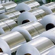 Coir Fiber