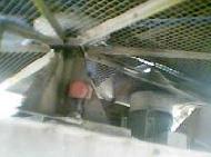 Coir Fiber