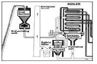 Coir Fiber