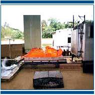 Coir Fiber