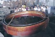 Coir Fiber