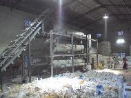 Coir Fiber