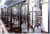 Coir Fiber