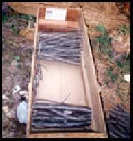 Coir Fiber