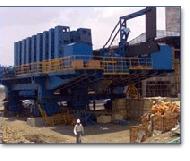 Coir Fiber