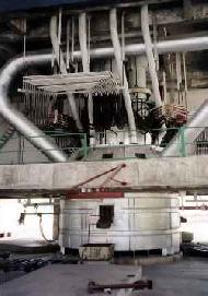 Coir Fiber