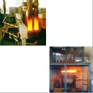 Coir Fiber