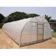 Coir Fiber