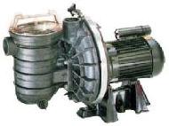 Coir Fiber
