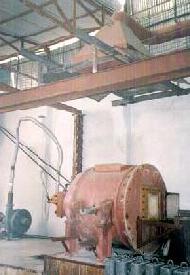 Coir Fiber