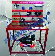 Coir Fiber