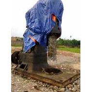 Coir Fiber