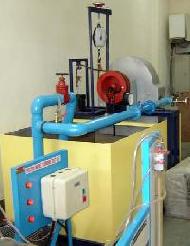 Coir Fiber