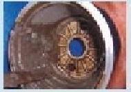 Coir Fiber