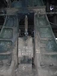 Coir Fiber