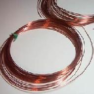 Coir Fiber